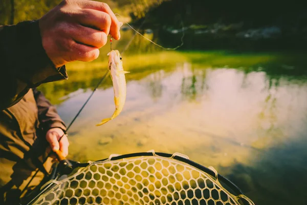 Truite capturée par un pêcheur — Photo