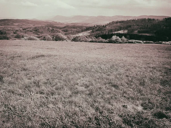 Magnifique nature, belles forêts et prairies — Photo