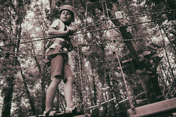 El chico sube a un parque colgante — Foto de Stock