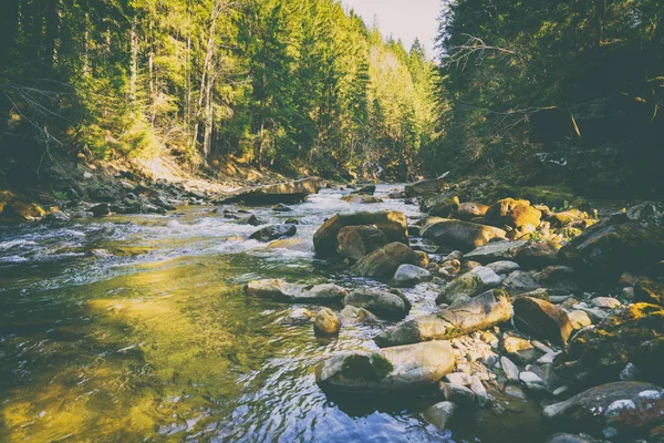 Magnificent mountain river and forest landscape — Stock Photo, Image