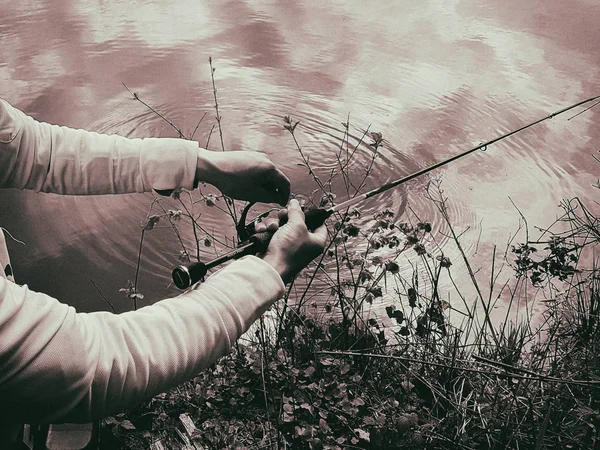 Fiske i sjön — Stockfoto