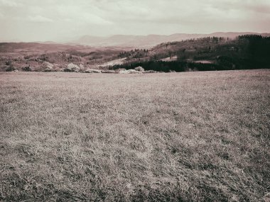 Muhteşem doğa, güzel ormanları ve çayırlar