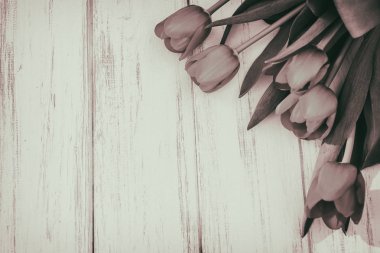 Lale bir tahta üzerinde arka plan