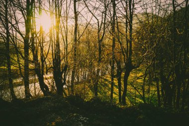 Şık nehir ve dağ manzarası