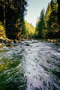 Muhteşem dağ nehir ve orman manzarası