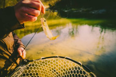 Bir balıkçı tarafından alabalık yakaladı