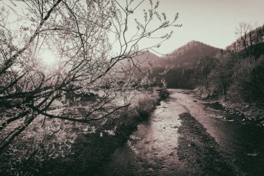 Şık nehir ve dağ manzarası