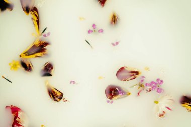 Süt ile bir banyo çiçeklenir