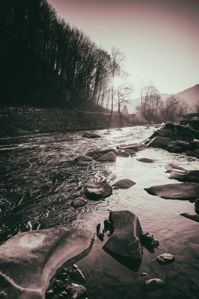 Nádherná krajina, horská řeka, volně žijící zvířata — Stock fotografie