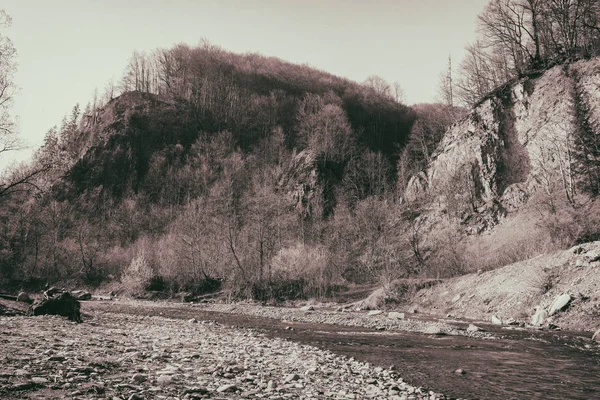 Prachtige natuur van de bergen, berg rivier, landschap — Stockfoto