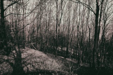 Dağlık arazinin zarif görünümü