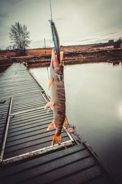 Fishing on the lake. Fishing background.