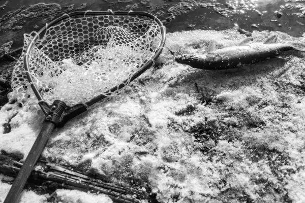 Pike Halászat Tavon — Stock Fotó