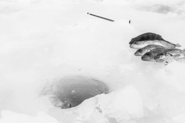 서리가 내리는 호수에서 겨울을 — 스톡 사진