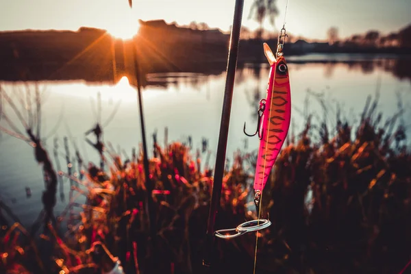 Pesca Del Luccio Sul Lago Pesca Sportiva Attività All Aperto — Foto Stock