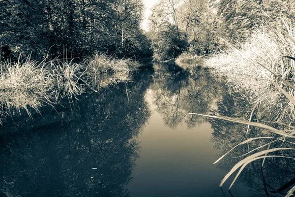 Superbe Automne Dans Magnifique Parc Historique — Photo