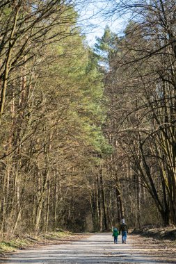 Çocuklar ormanda yürür. Yalıtım
