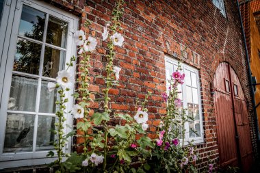 Kopenhag, Danimarka - 18 Temmuz 2019. Kopenhag 'ın muhteşem mimarisi