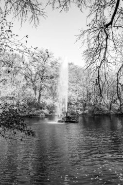 Güzel bir tarihi parkta muhteşem bir sonbahar.