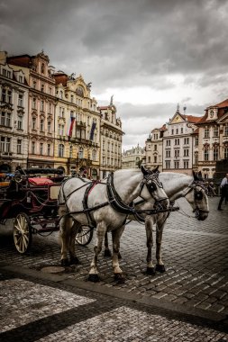 Prag, Çek Cumhuriyeti - 21 Eylül 2019. Güz Prag 'ın güzel sokakları ve mimarisi