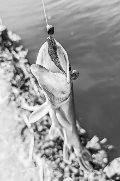 Pesca Descanso Rural Antecedentes Sobre Tema Recreação — Fotografia de Stock