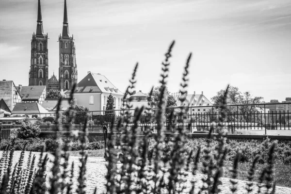 Hermosas Iglesias Wroclaw Atracciones Viajes Por Europa —  Fotos de Stock