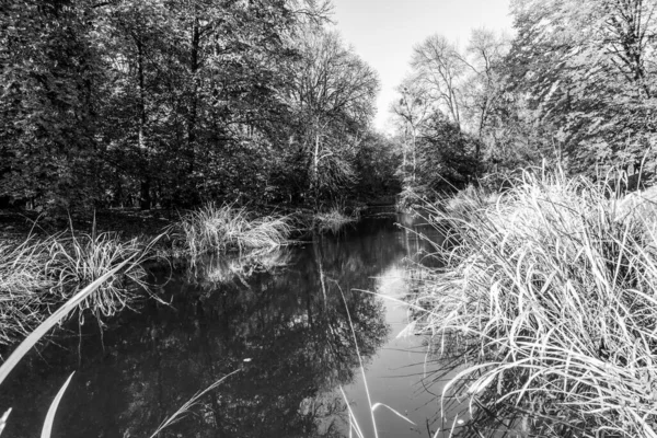 Superbe Automne Dans Magnifique Parc Historique — Photo