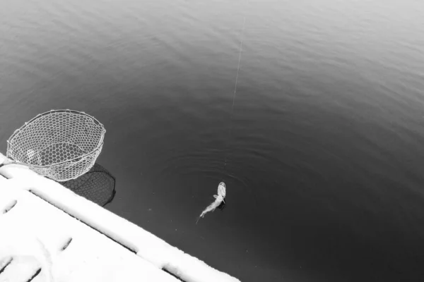 Pesca Del Luccio Sul Lago Attività Ricreative Pesca — Foto Stock