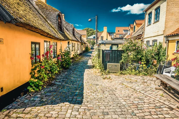 Красивая Датская Архитектура Живописной Деревне — стоковое фото