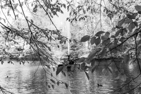 Güzel Bir Tarihi Parkta Muhteşem Bir Sonbahar — Stok fotoğraf