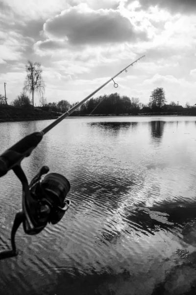 Ψάρεμα Πάικ Στη Λίμνη — Φωτογραφία Αρχείου