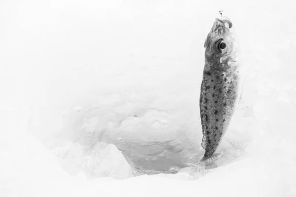 Hiver Pêche Sur Glace Dans Lac Givré — Photo