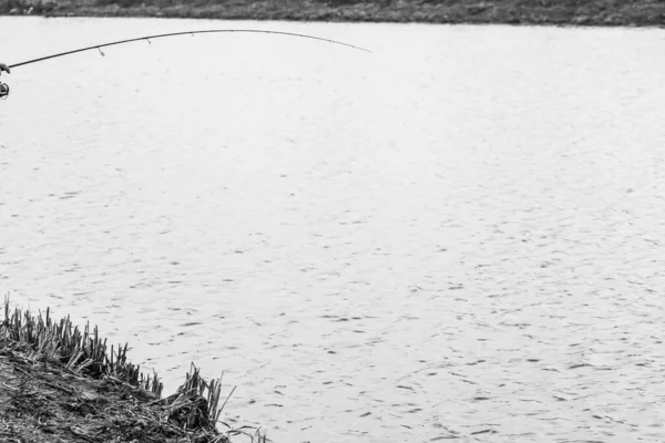 Pesca Lúcio Lago Recreação Pesca — Fotografia de Stock