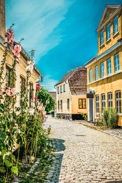 Beautiful Danish architecture in a picturesque village