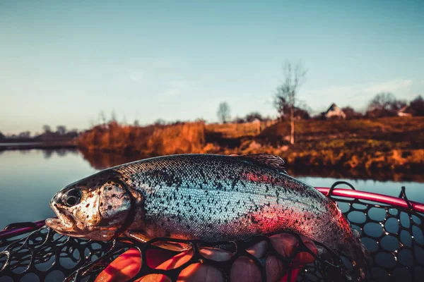 Pêche Pêche Sur Lac — Photo