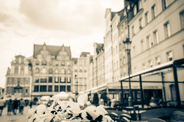 Wroclaw Polsko Června 2019 Wroclaw Domy Ulice Města Wroclaw Cityscape — Stock fotografie