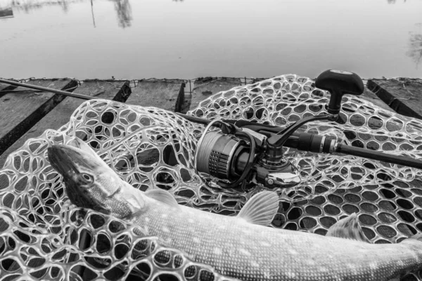 Pesca Ricreazione All Aperto Sfondo Lago — Foto Stock