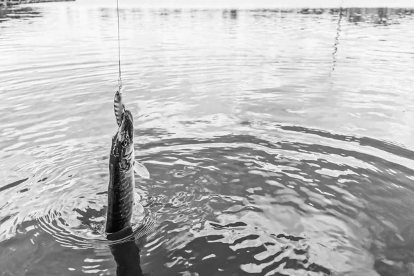 Pesca Descanso Rural Antecedentes Sobre Tema Recreação — Fotografia de Stock