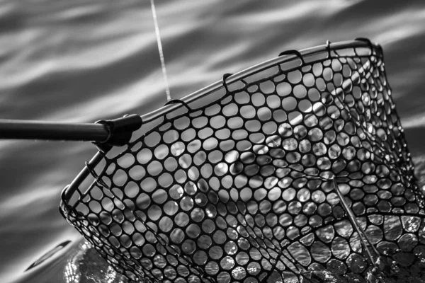 Gölde Alabalık Avı — Stok fotoğraf