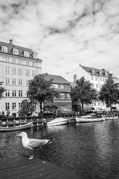 Koppenhága Utcái Látnivalói Kirándulás Koppenhágába — Stock Fotó
