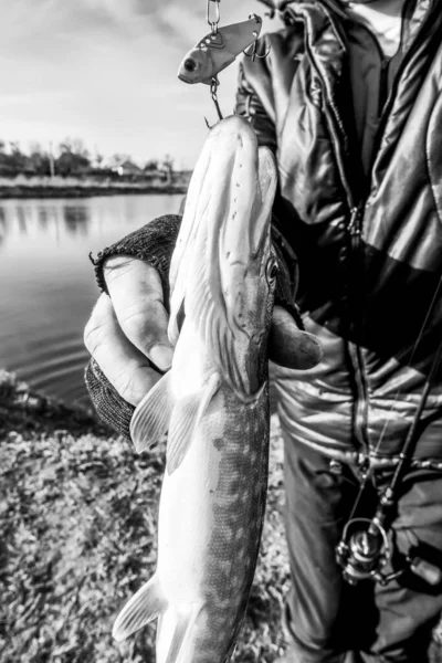 Pesca Lúcio Lago — Fotografia de Stock