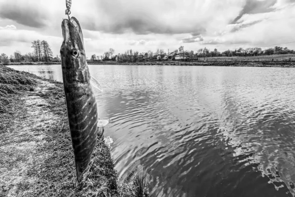 Pesca Descanso Rural Antecedentes Sobre Tema Recreação — Fotografia de Stock