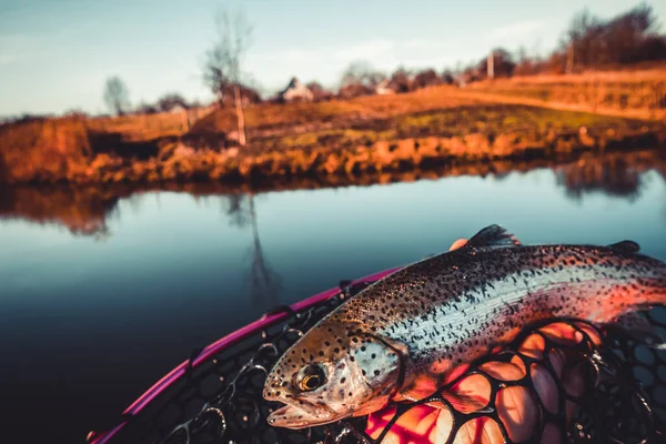 Rybaření Rybaření Jezeře — Stock fotografie