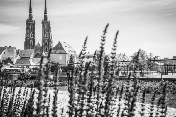 Hermosas Iglesias Wroclaw Atracciones Viajes Por Europa —  Fotos de Stock