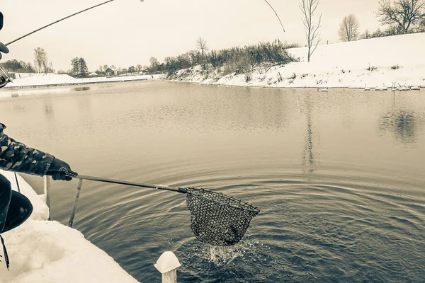 Pesca Truchas Lago —  Fotos de Stock