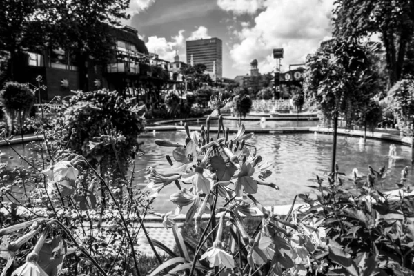 Bellissimo Parco Giardino Copenaghen Attrazioni — Foto Stock