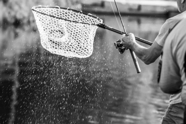 Torneo Pesca Recreación Naturaleza Fondo —  Fotos de Stock