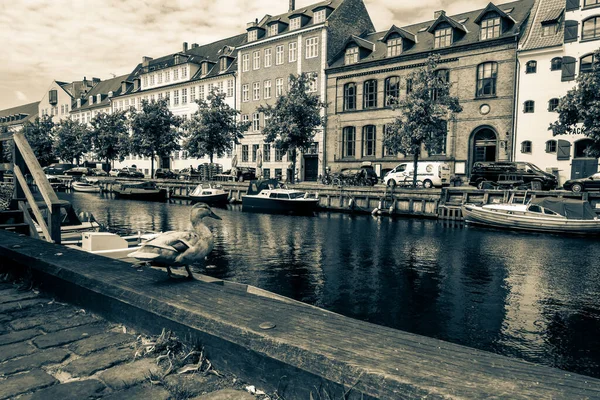 Copenhague Dinamarca Julio 2019 Famoso Christianshavn Con Coloridos Edificios Barcos — Foto de Stock