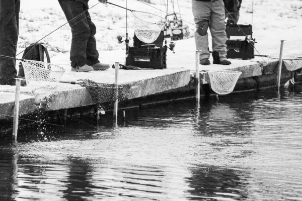 Forellenangeln Auf Dem See Freizeitfischerei — Stockfoto