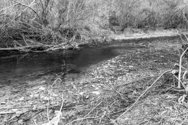 Dağların ve nehirlerin güzel doğası